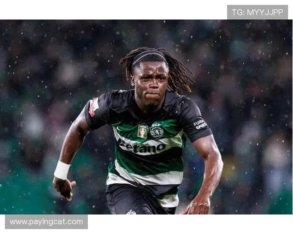 全球足球明星俱乐部最新球员名单揭晓各大联赛新星汇聚一堂