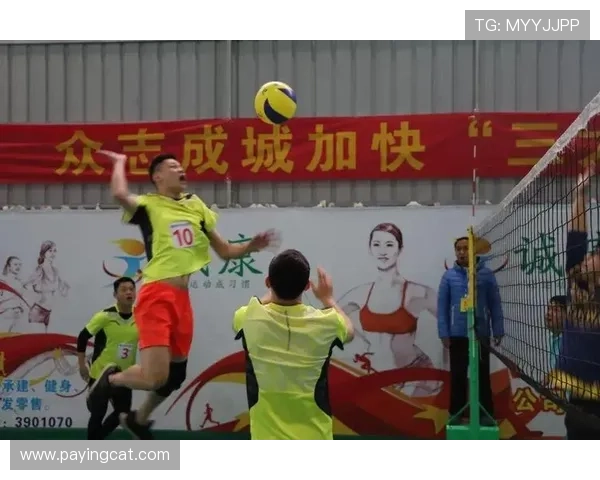 北京排球队个人能力引发热议球员表现与团队协作的争论